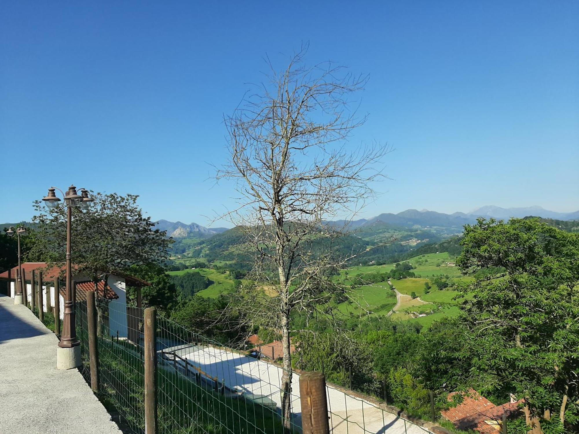 Apartamentos El Llanin Cangas de Onís Quarto foto