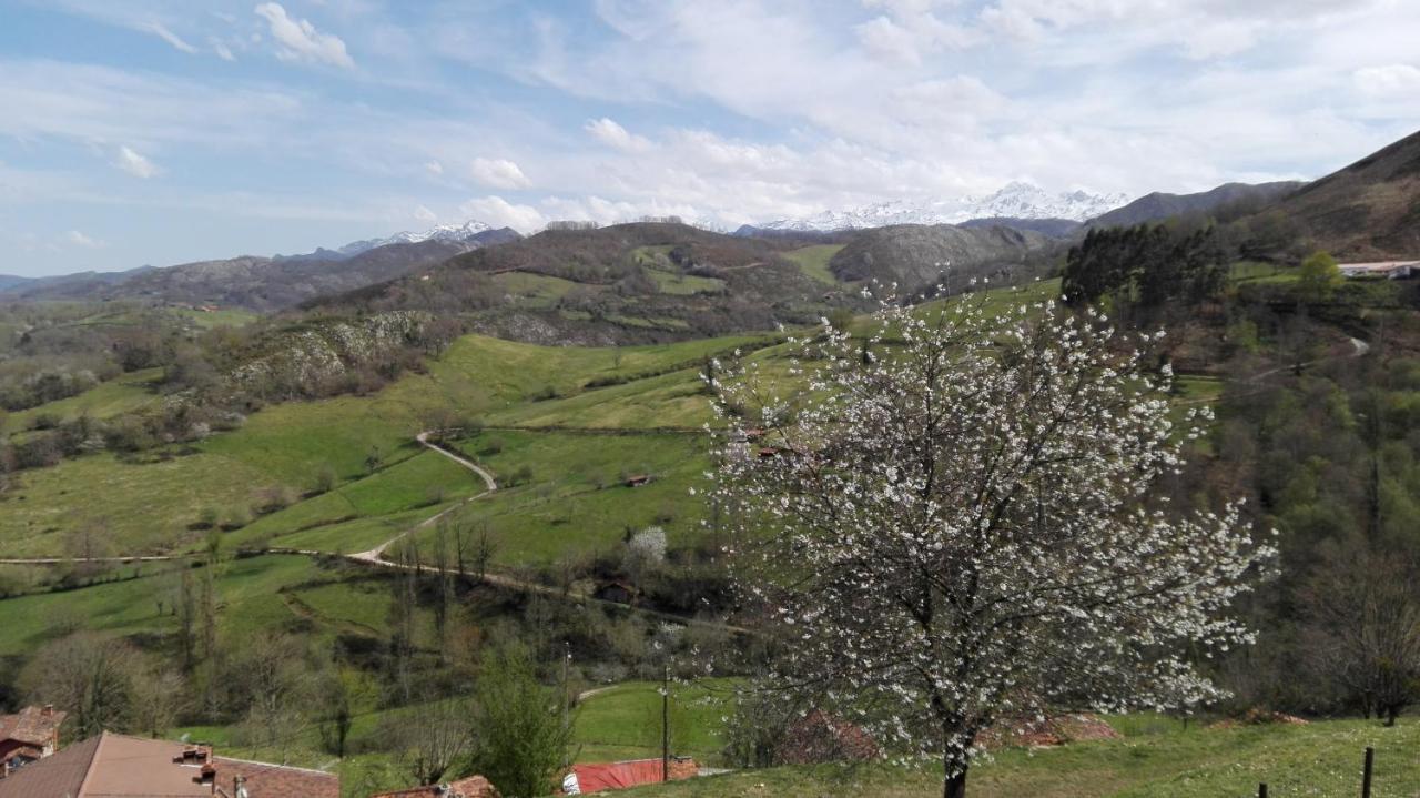 Apartamentos El Llanin Cangas de Onís Exterior foto