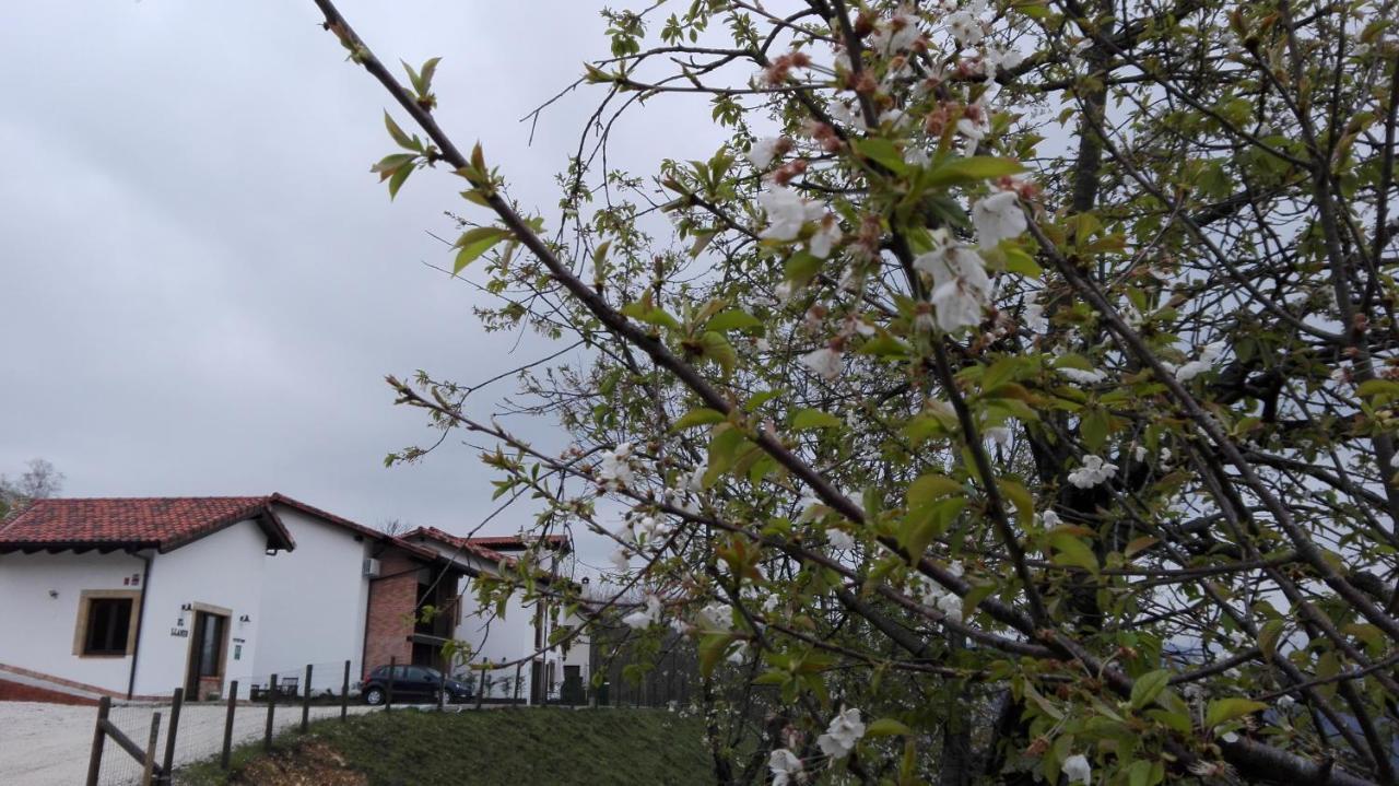 Apartamentos El Llanin Cangas de Onís Exterior foto
